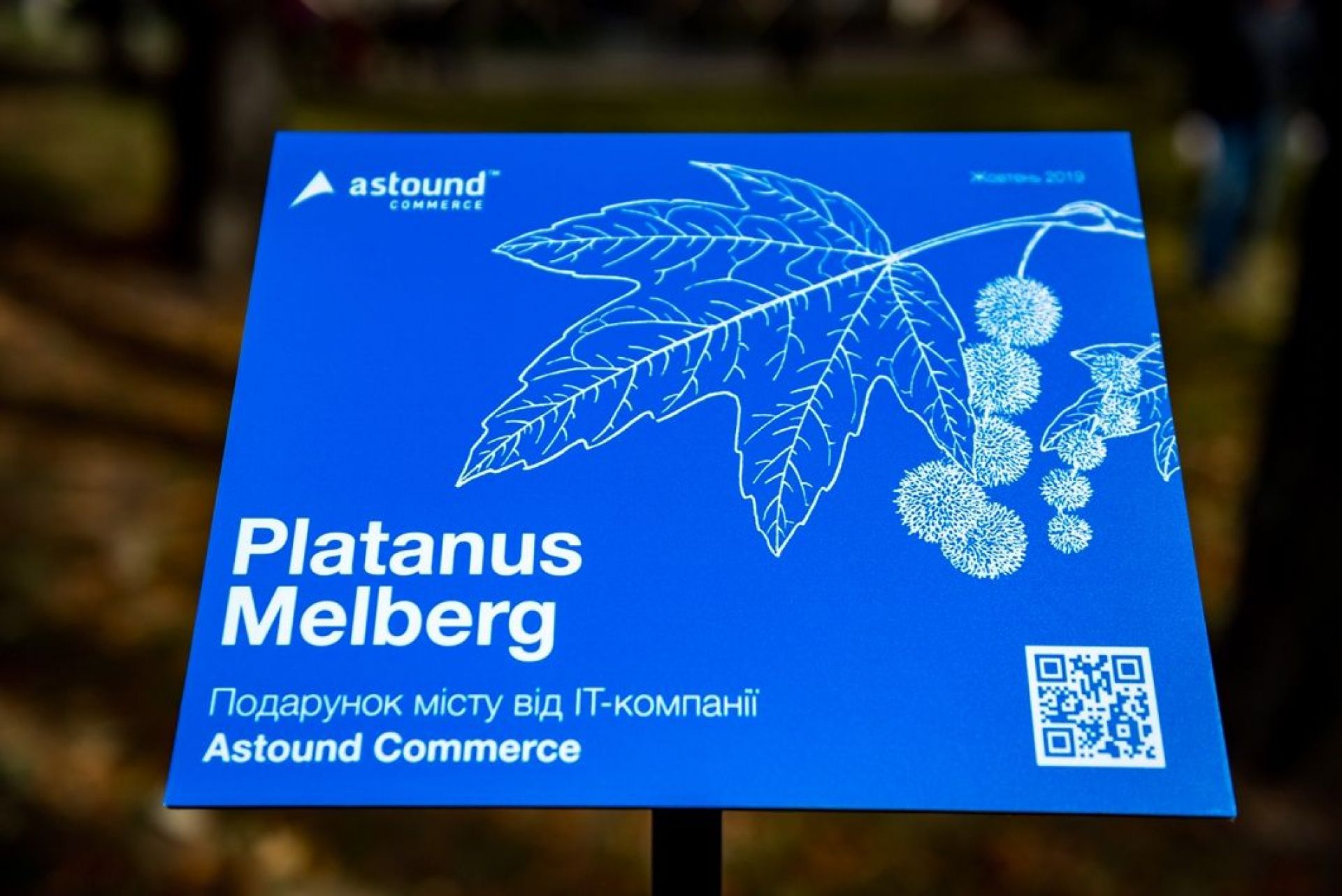 Табличка з назвою висаджених дерев у парку