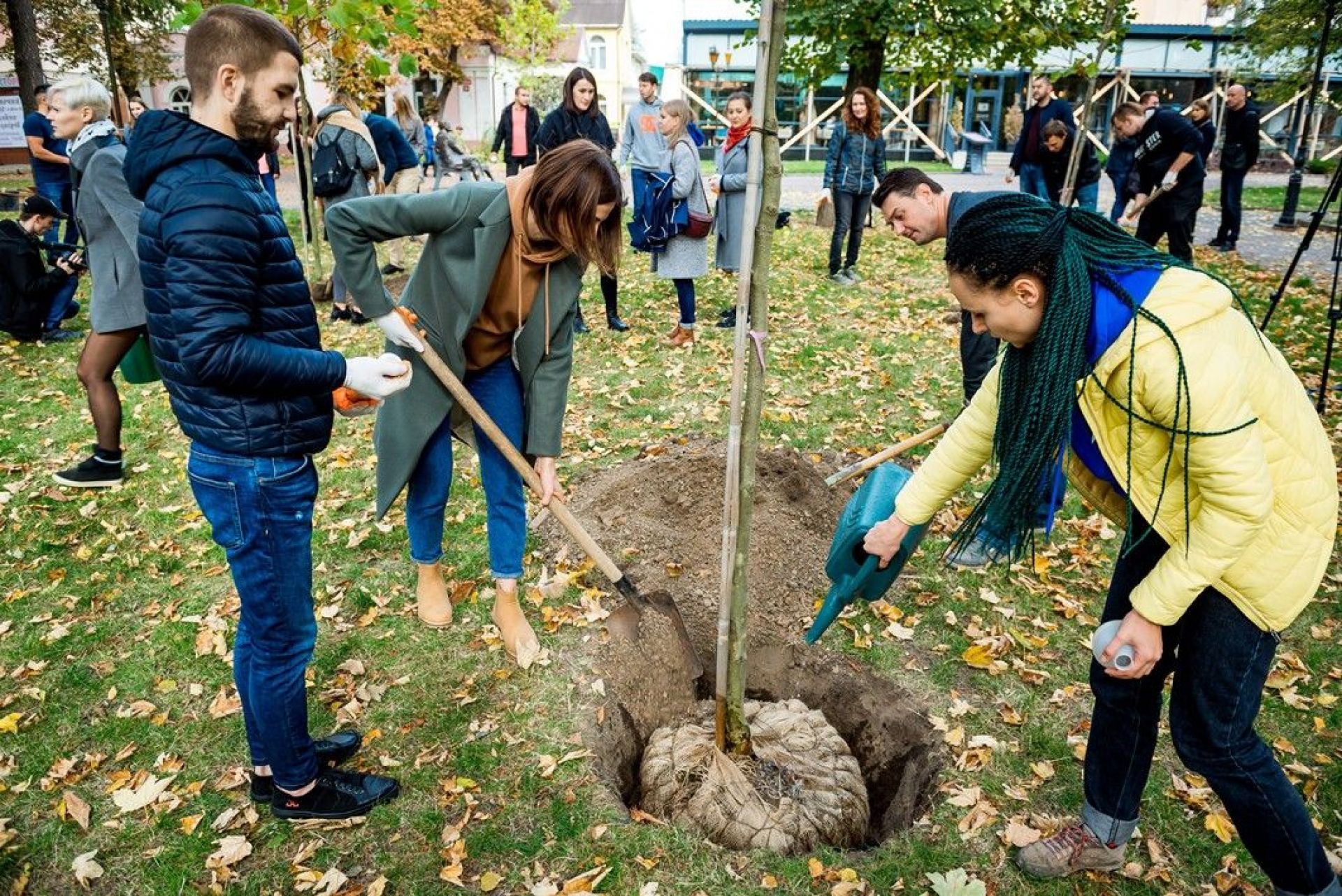 Еко-подія з висадки платанів