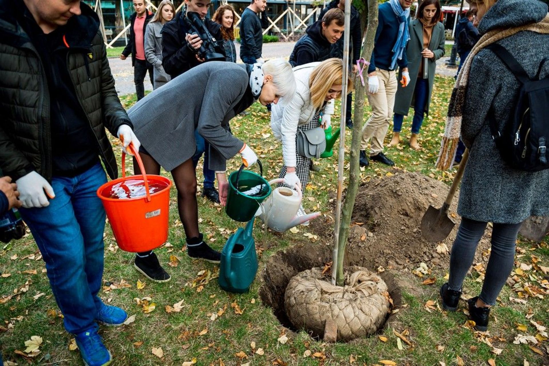 Усі висаджені дерева щедро поливали водою