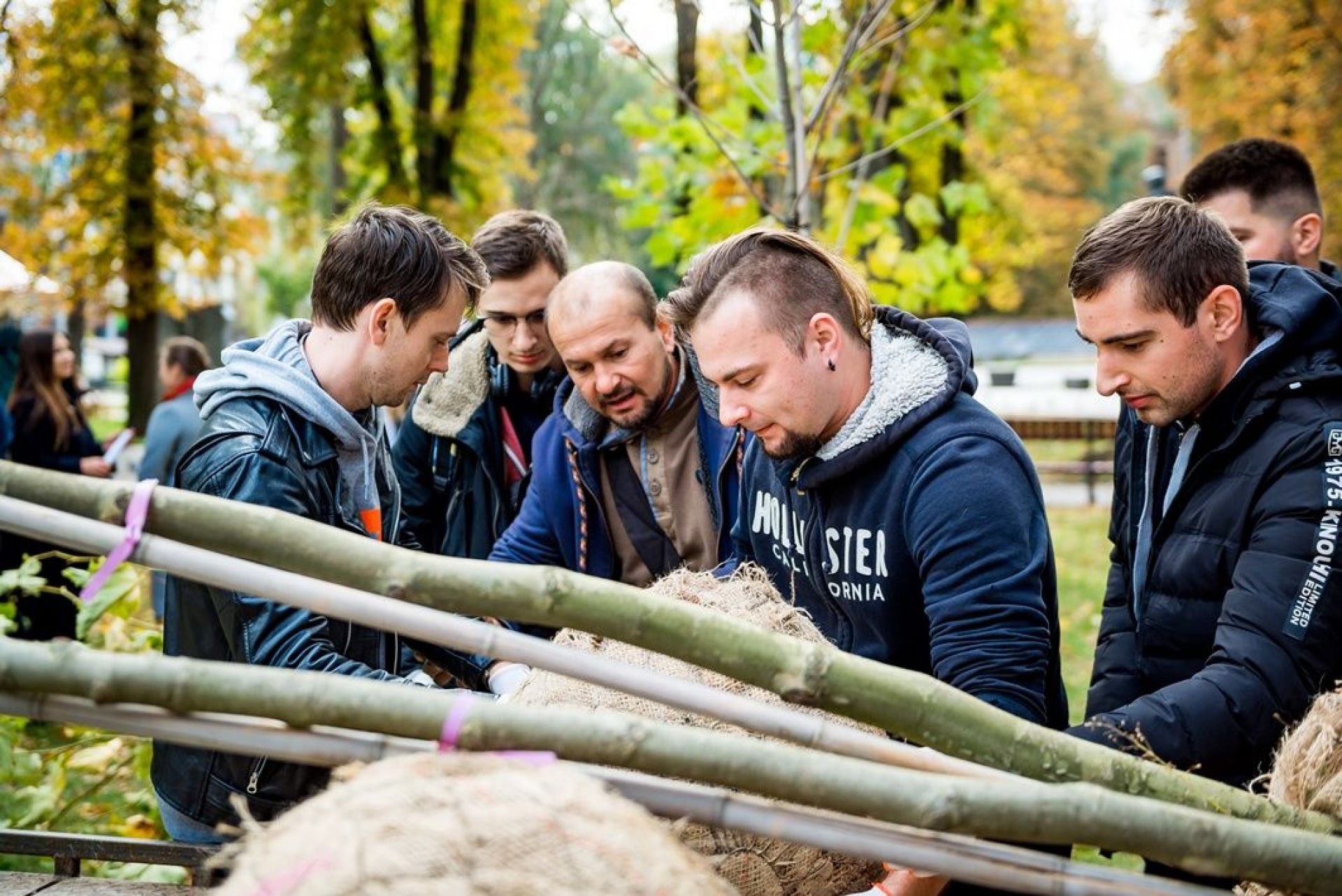 У парку Європейської площі заклали алею з 10 платанів