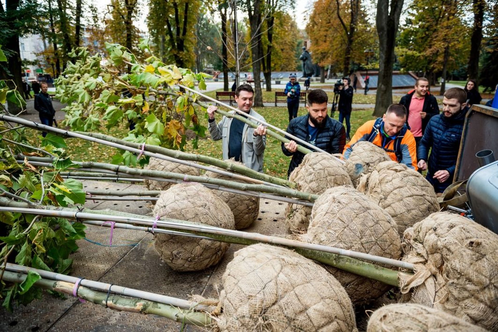 Саджанці платанів - подарунок Вінниці від ІТ-компанії