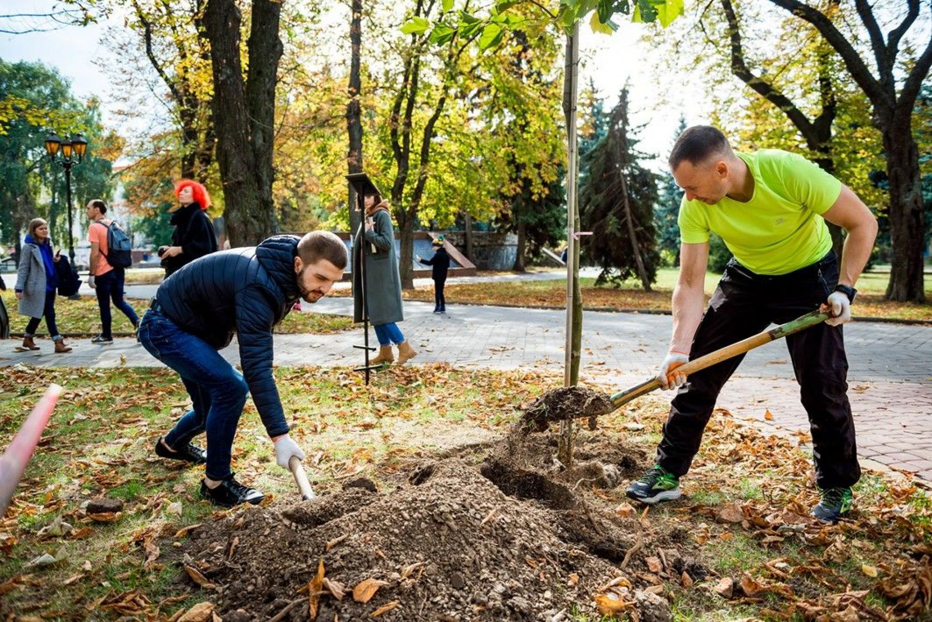 У парку Вінниці висадили 10 платанів