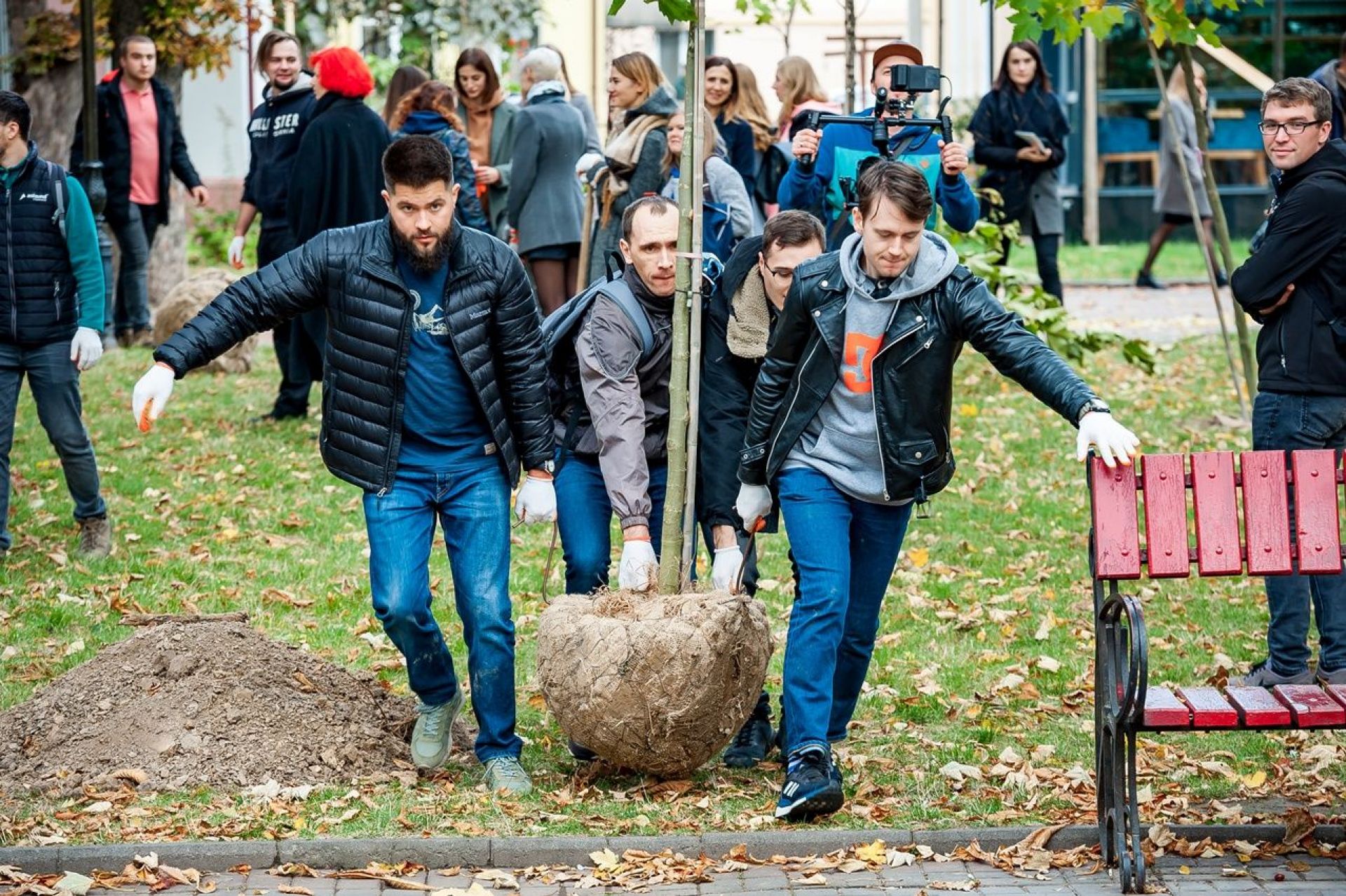 ІТ-компанія подарувала Вінниці садженці платанів