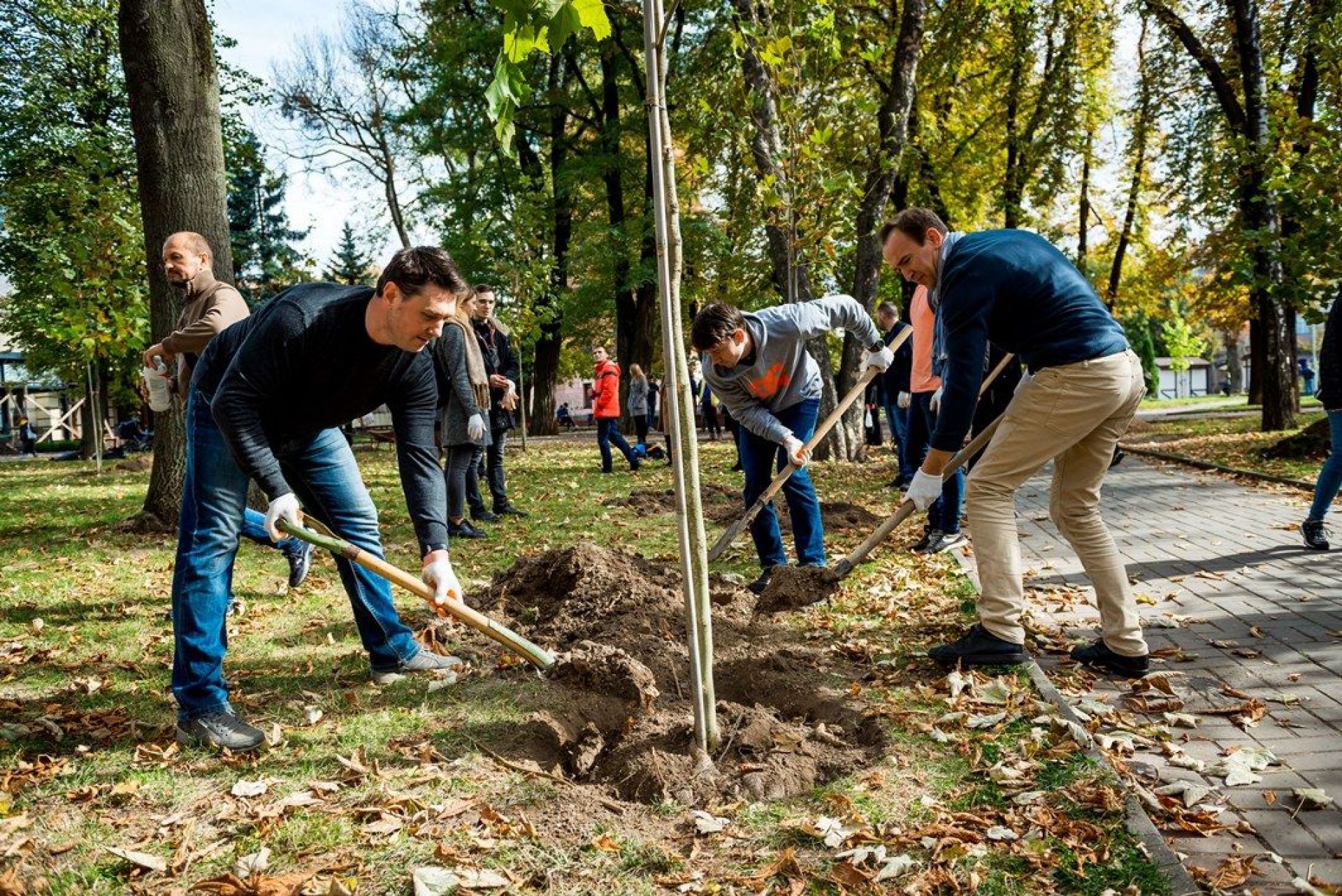 Висадка саджанців платанів в парку Європейської площі