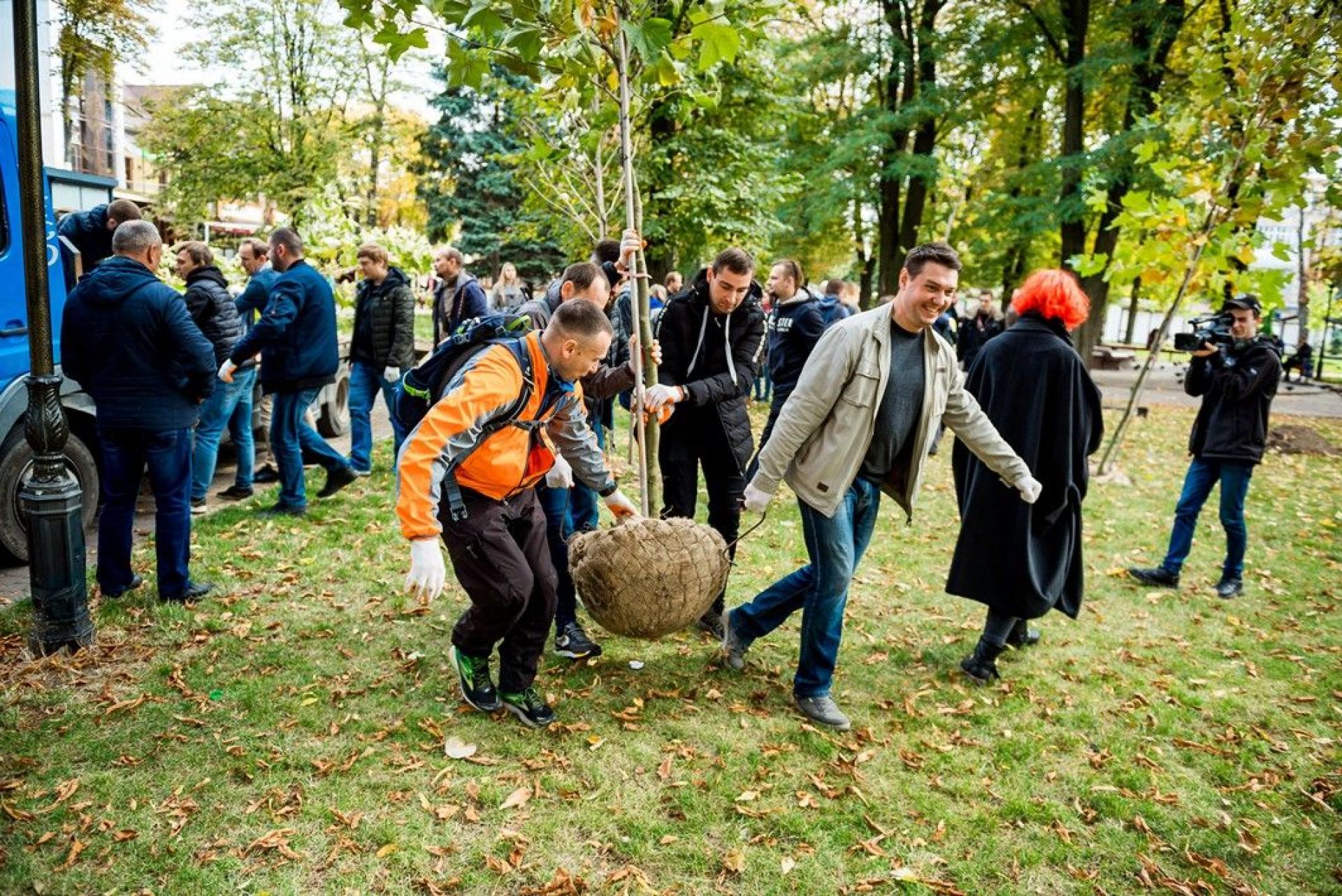 Кожне дерево важило до 70 кг