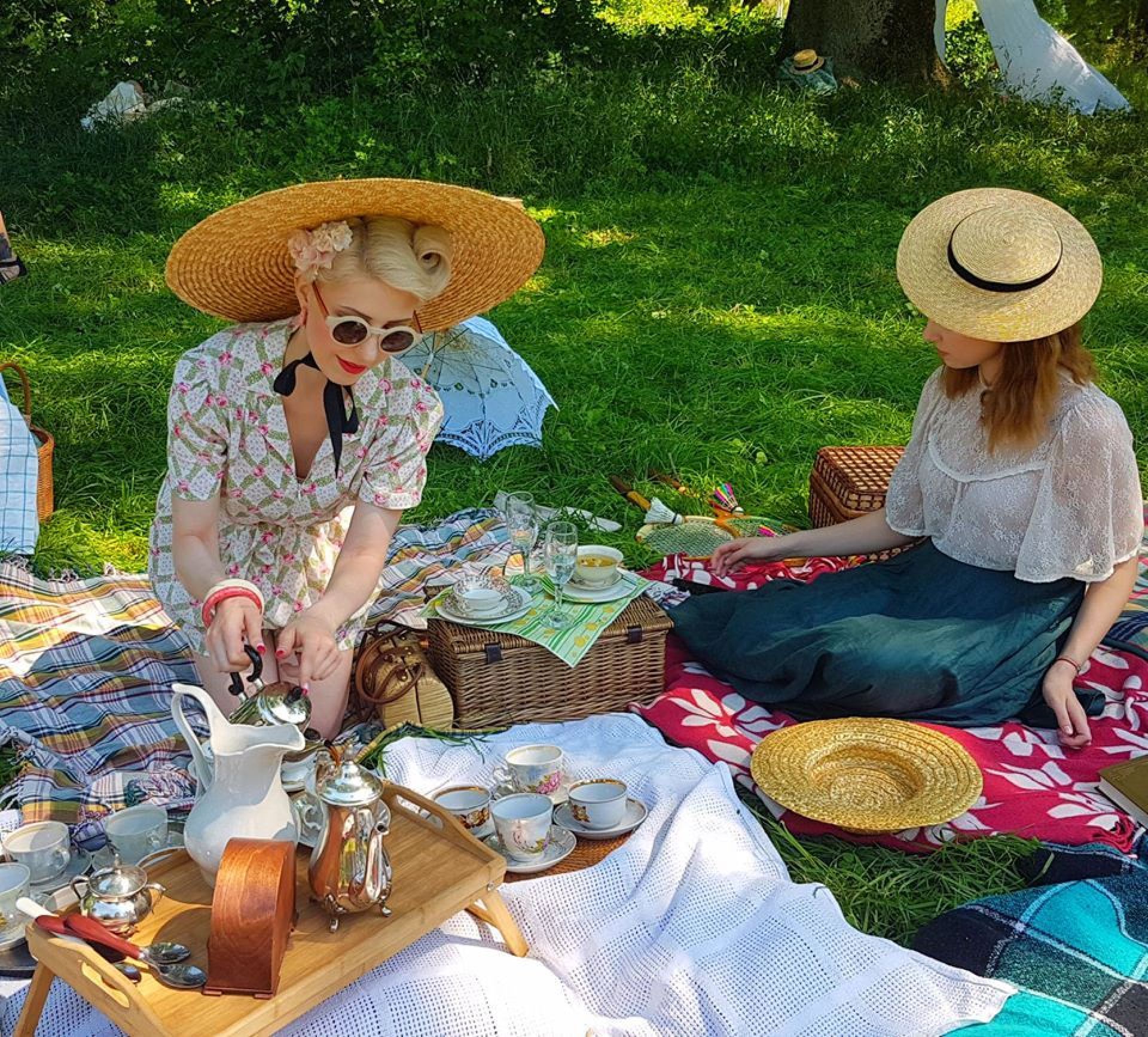 Как в Виннице пикник в стиле ретро проходил (Фото)