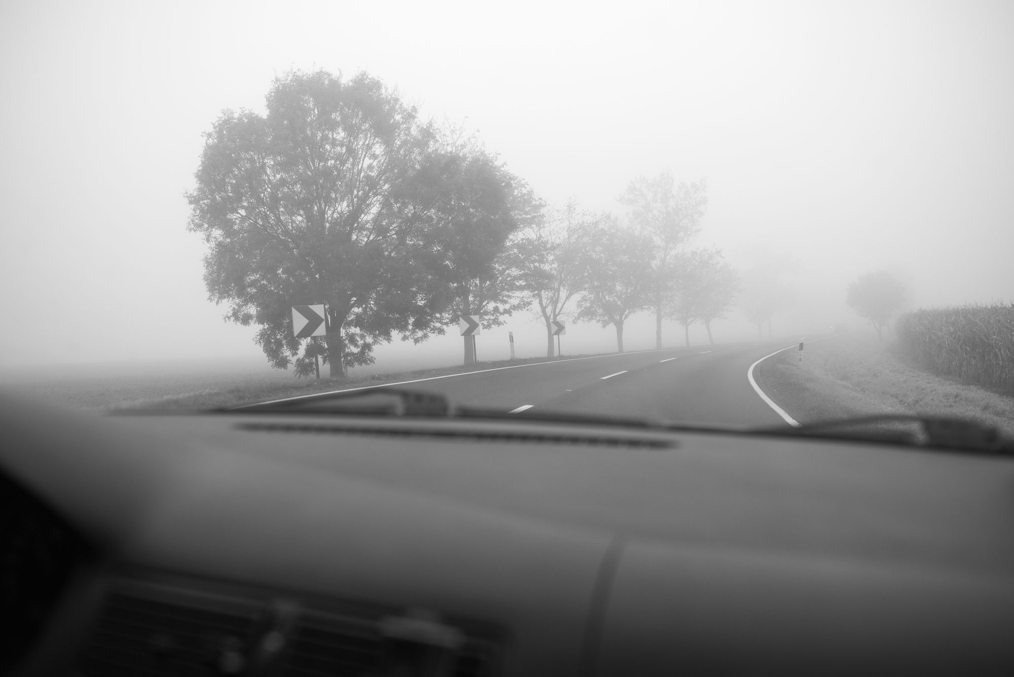 Дорога в тумане вид из машины