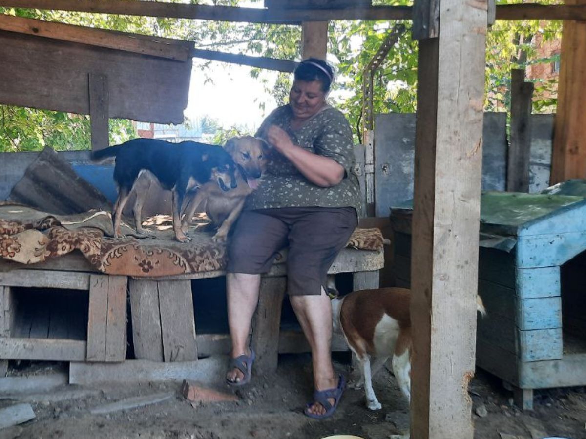 «Справді щасливих собак тут мало»: чим живе і як виглядає притулок для ...