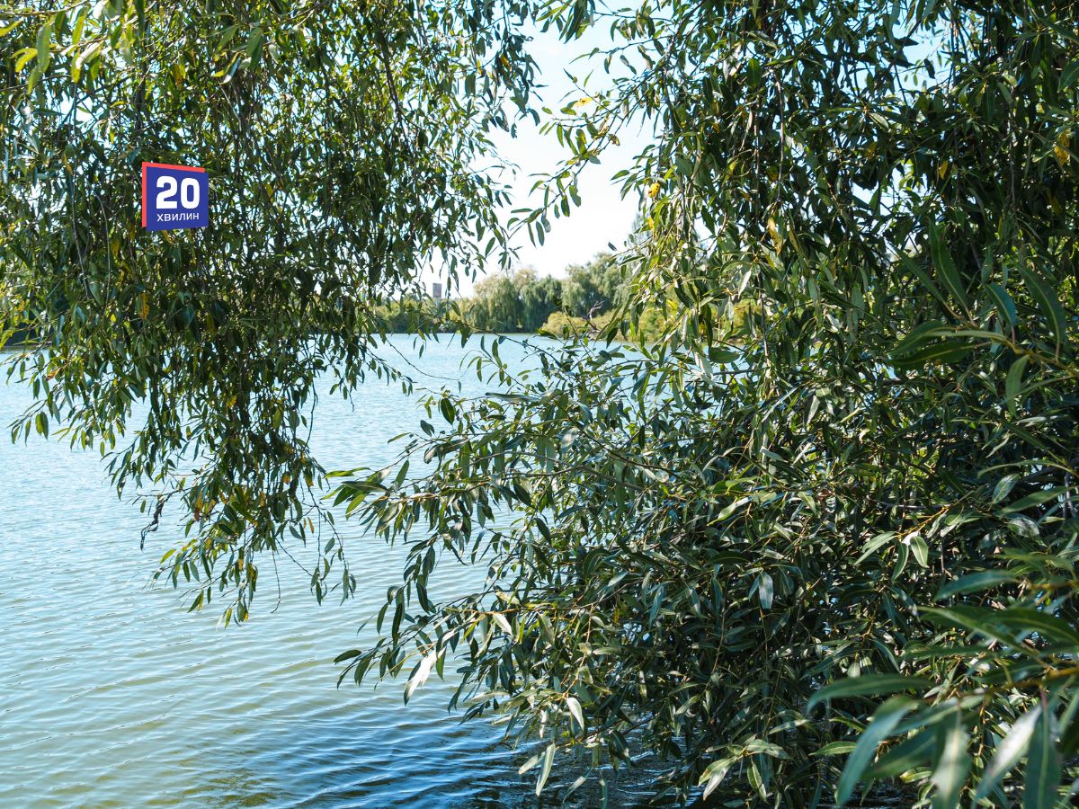 Водолази заблокували три нелегальні каналізаційні труби у Вишенському озері Вінниці