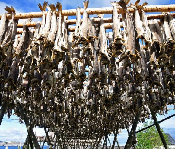 Как винничане по земле троллей гуляли, фото №2 на сайті 20minut.ua